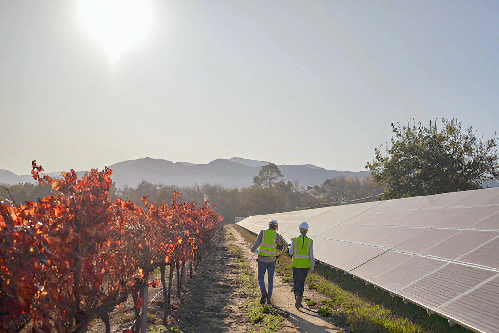 Installation photovoltaique pour les agriculteurs pompage